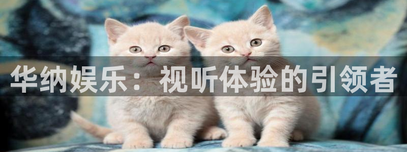 新城平台官网