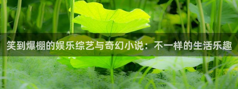 新城平台