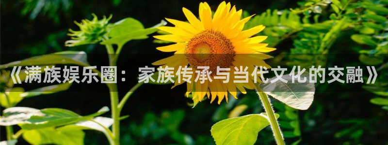 新城平台登录