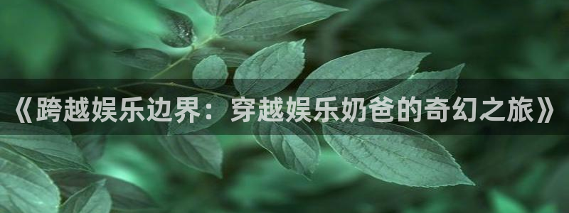 新城平台登录