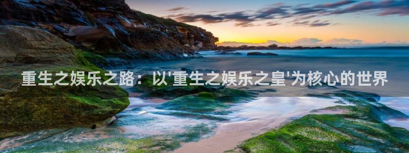 新城平台官网