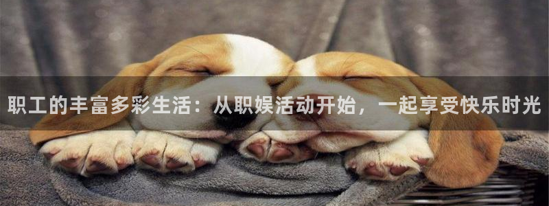 新城平台官网