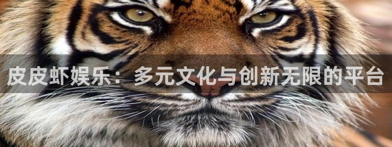 新城平台登录