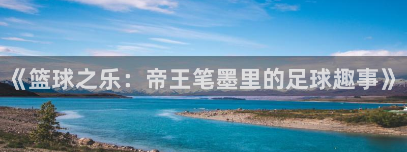 新城平台官网