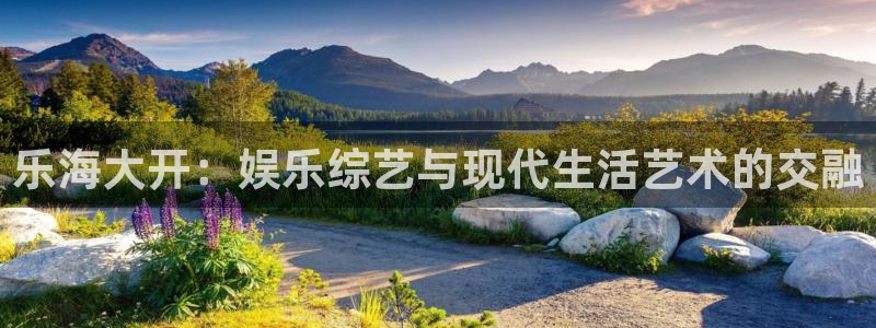 新城平台官网