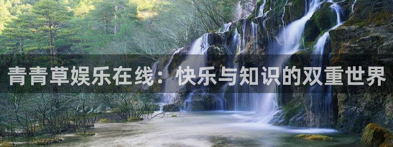 新城平台官网
