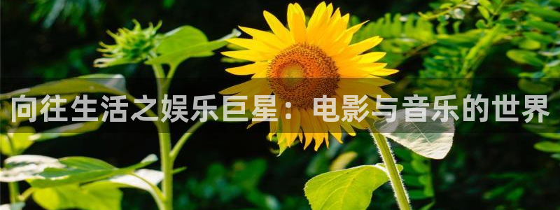新城平台官网