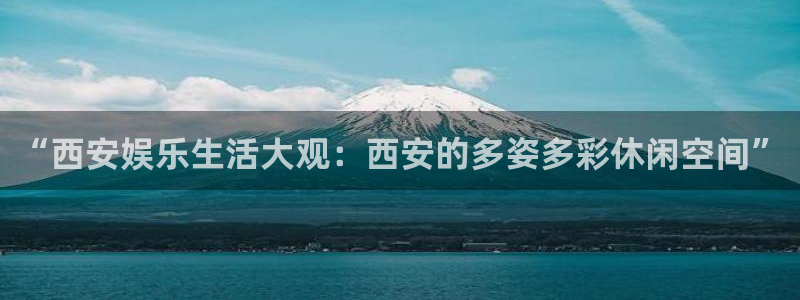 新城平台官网