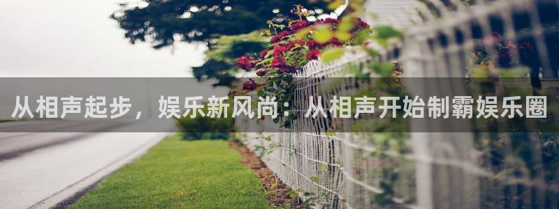 新城平台登录