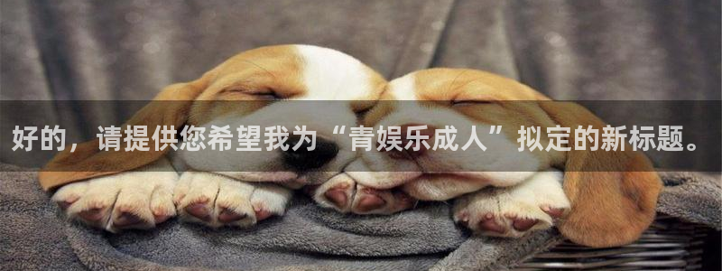 新城平台登录